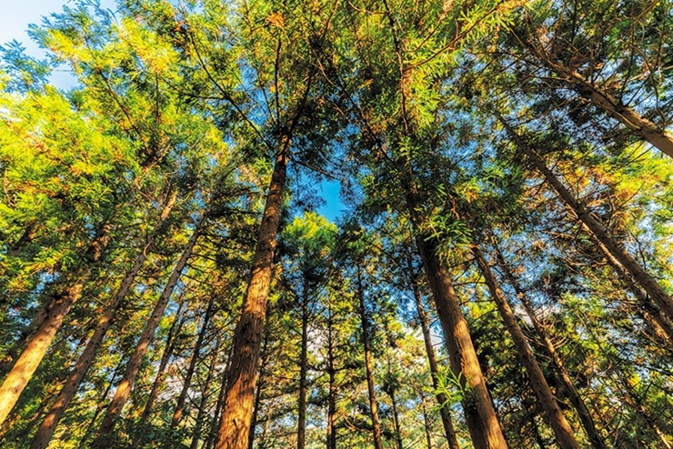 8-4cw10 욜로갈맷길 8코스_승학산 치유의 숲_이민재